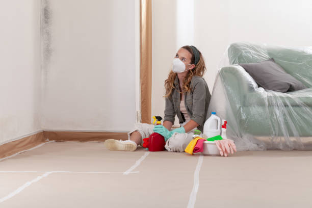 Reliable Mold Remediation contractor in Lakeside, OR by Cheap Mold Removal